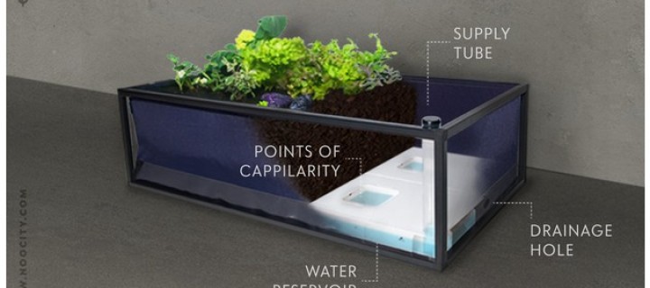Noocity Growbed lets You Grow Vegetable, Fruits Easily