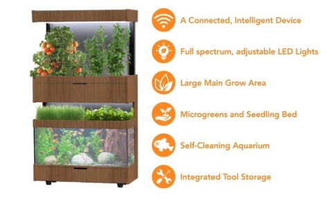 The Grove Ecosystems Grows Vegetables and Fruits With Help from an Aquarium