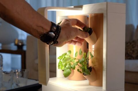 Grow your vegetables indoors with Boombi